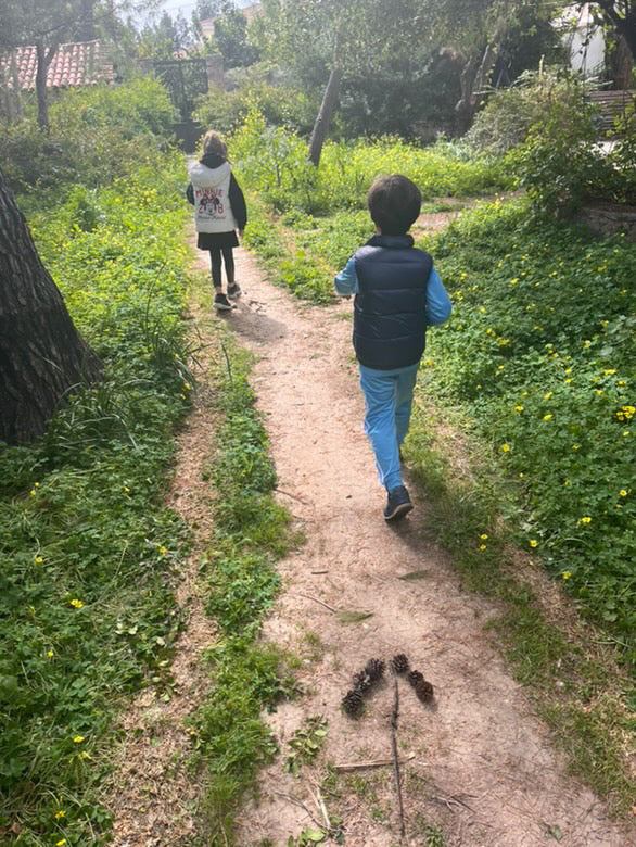 A Vineyard for All: Wine & Flavors for Parents, Fun for Kids