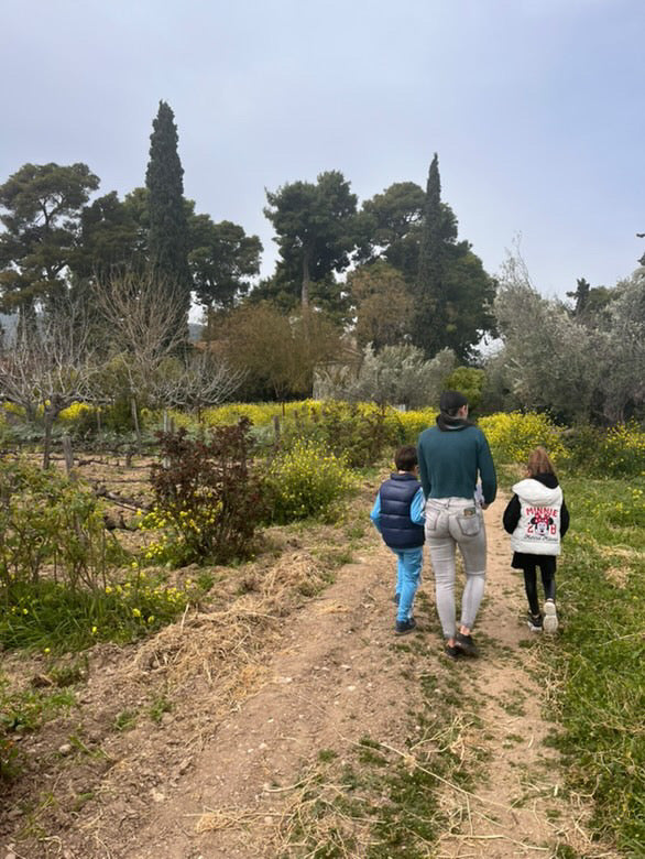 A Vineyard for All: Wine & Flavors for Parents, Fun for Kids