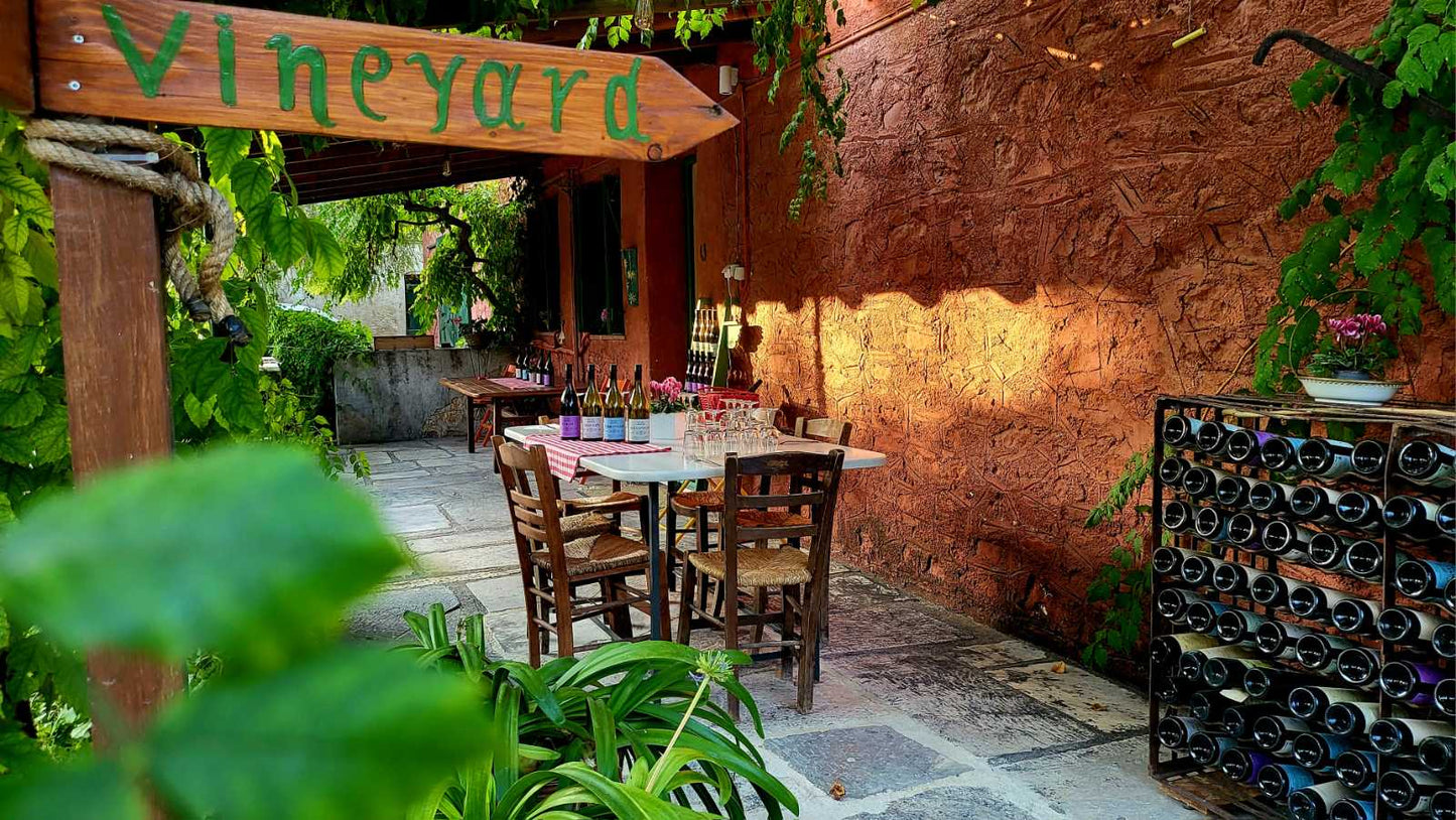 Private Vineyard Tour and Wine Tasting with Greek tradition's culinary surprises