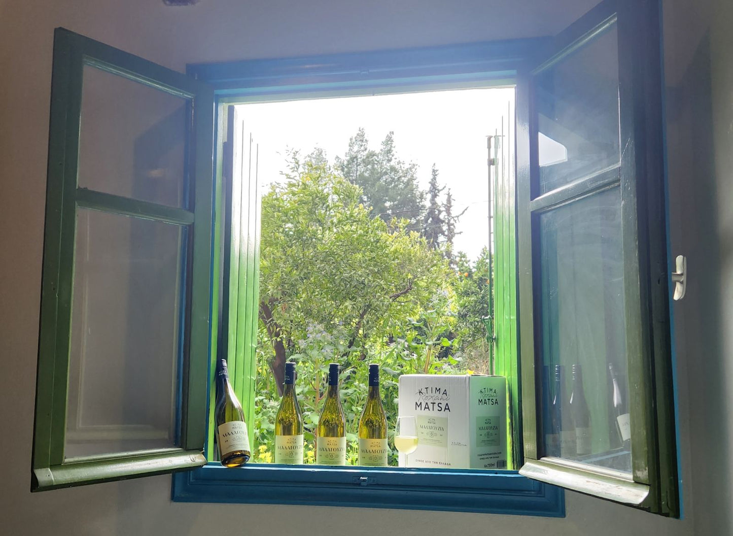 Private Vineyard Tour and Wine Tasting with Greek tradition's culinary surprises