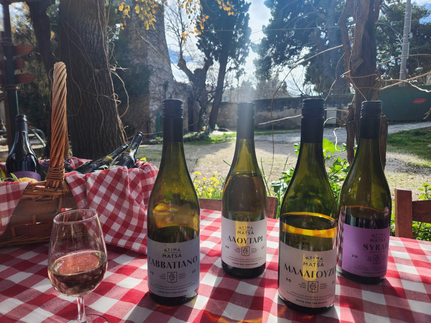 Private Vineyard Tour and Wine Tasting with Greek tradition's culinary surprises