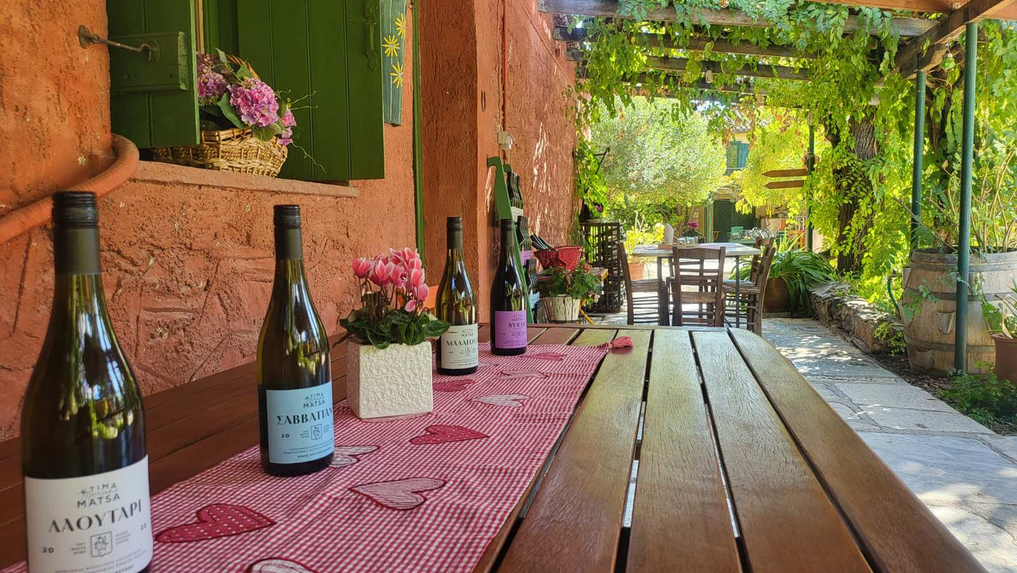 Private Vineyard Tour and Wine Tasting with Greek tradition's culinary surprises