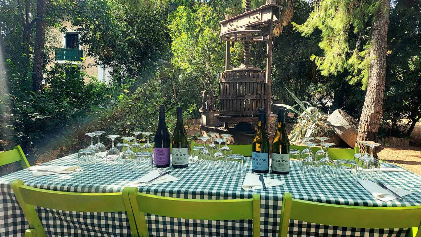 Private Vineyard Tour and Wine Tasting with Greek tradition's culinary surprises
