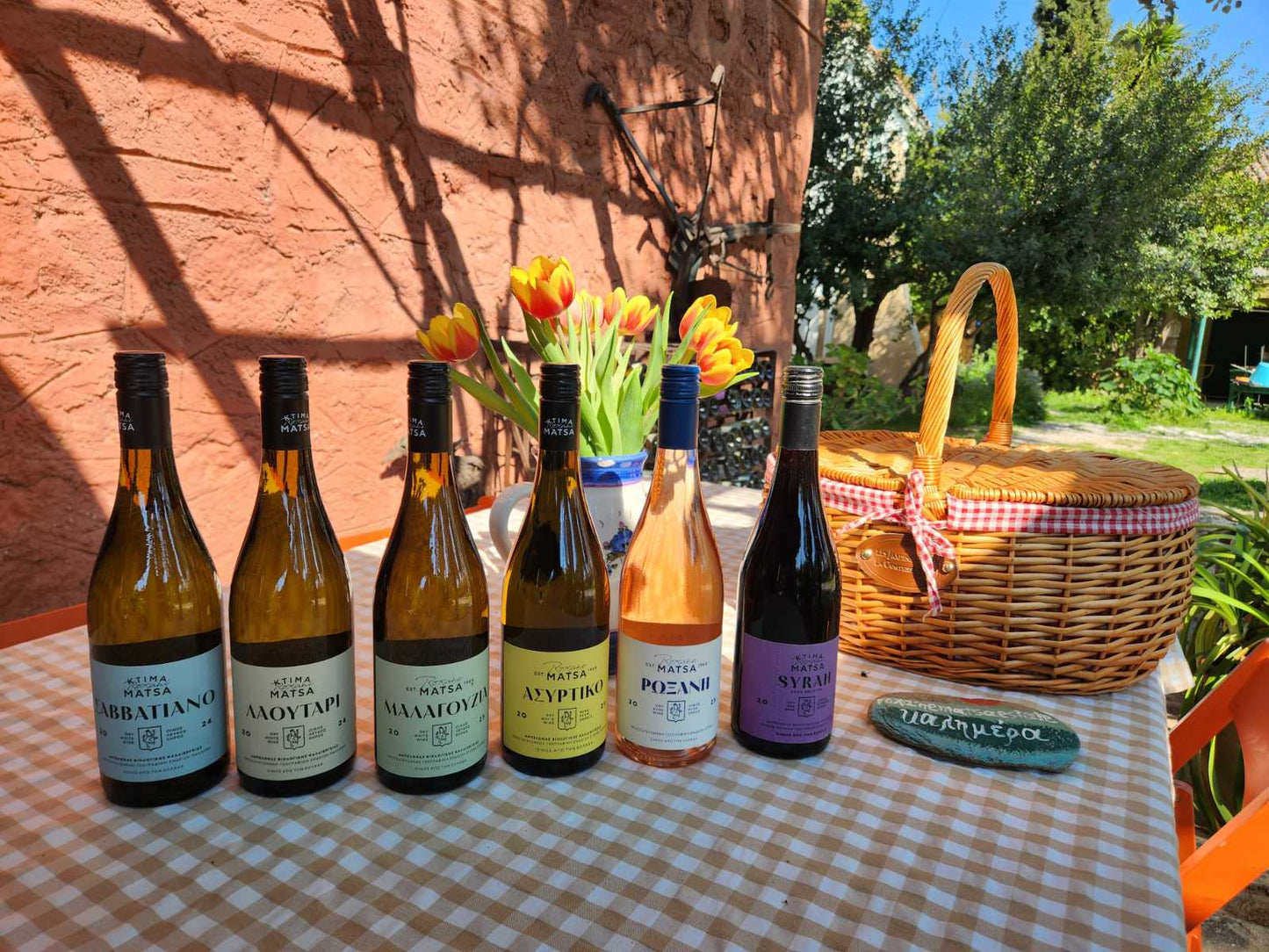 Wine Tasting