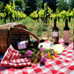 Picnic at the Vineyard