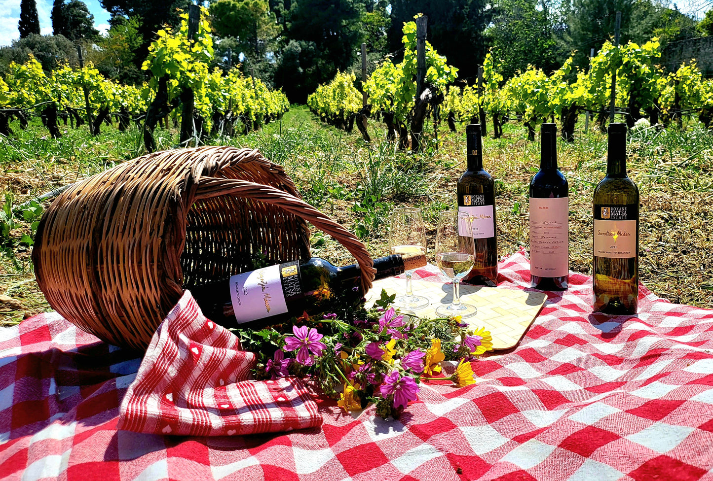 Picnic at the Vineyard