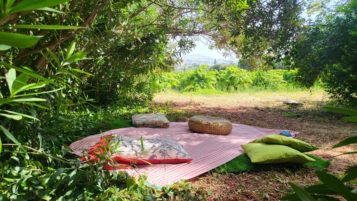 Picnic at the Vineyard