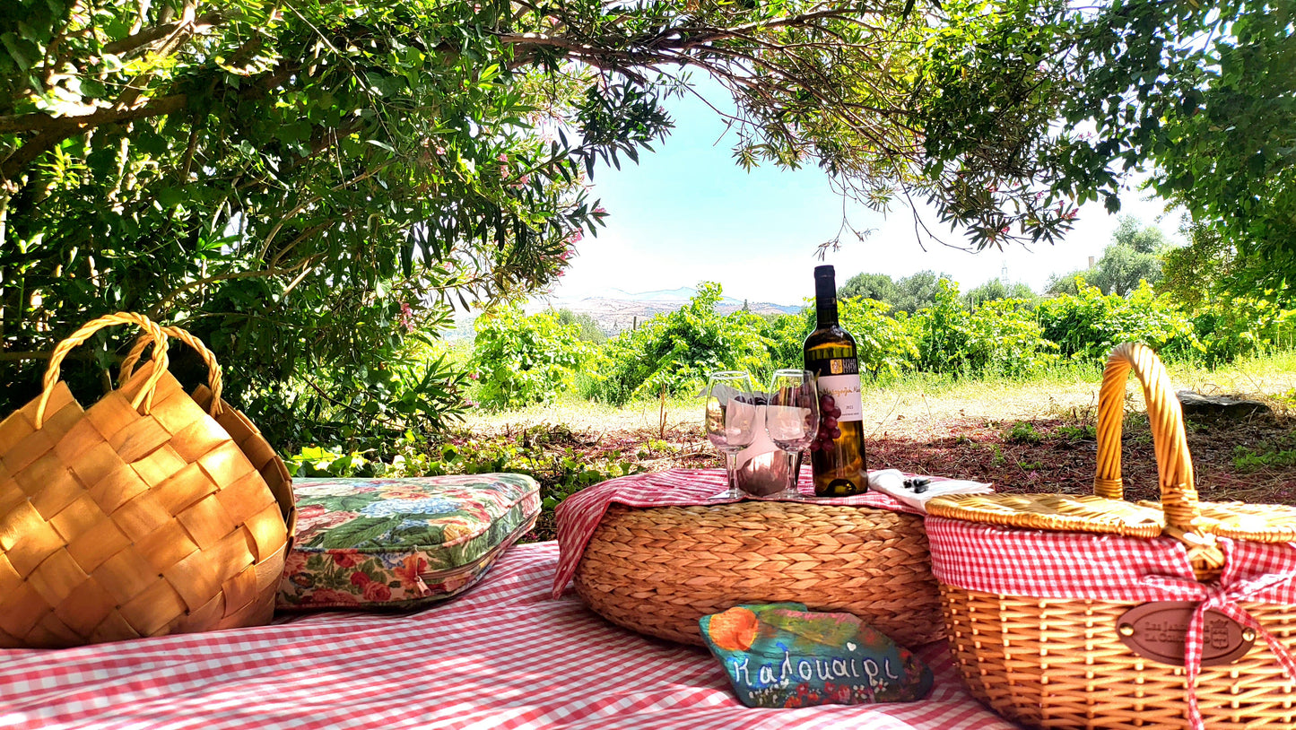 Picnic at the Vineyard