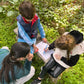 A Vineyard for All: Wine & Flavors for Parents, Fun for Kids