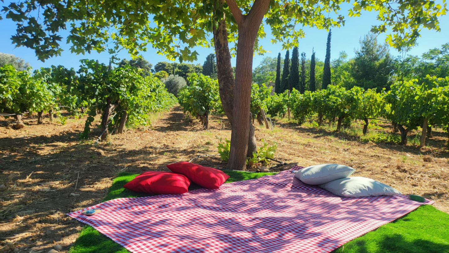 Picnic at the Vineyard