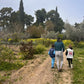 A Vineyard for All: Wine & Flavors for Parents, Fun for Kids