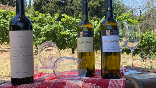 World Wine Tourism Day Special