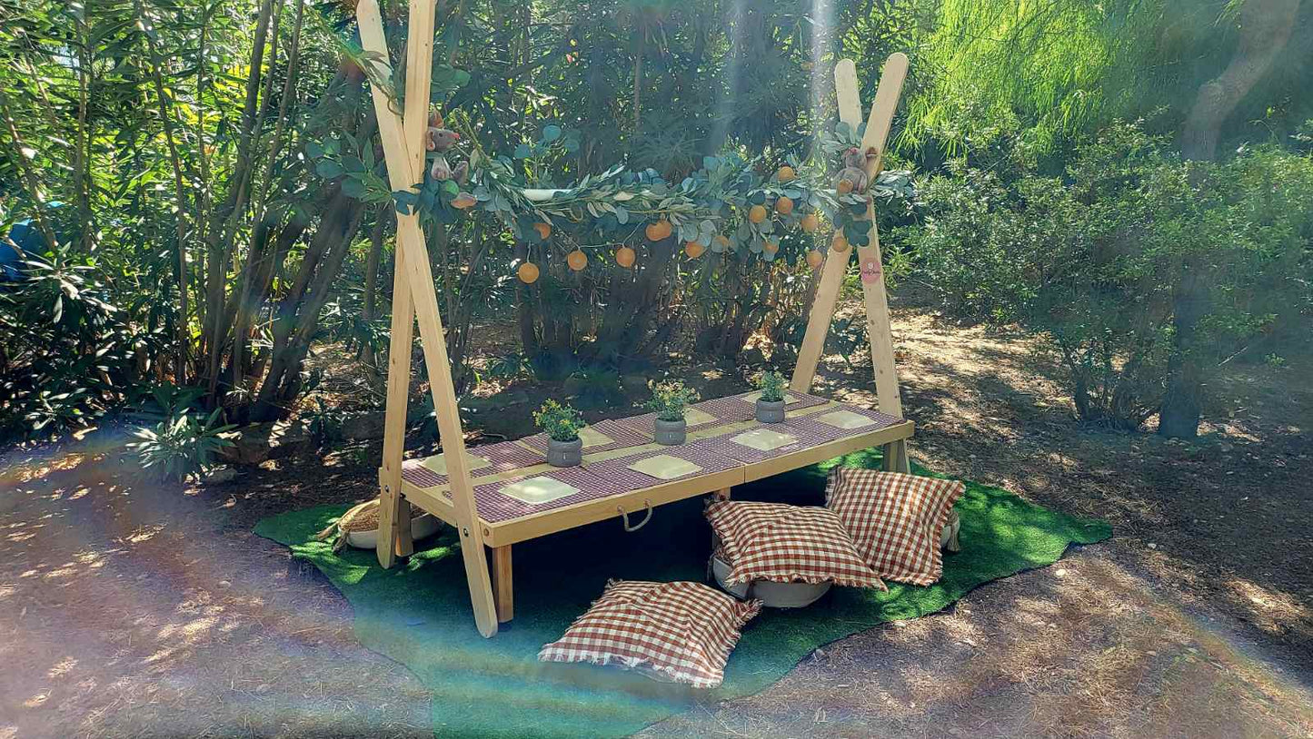 Picnic at the Vineyard