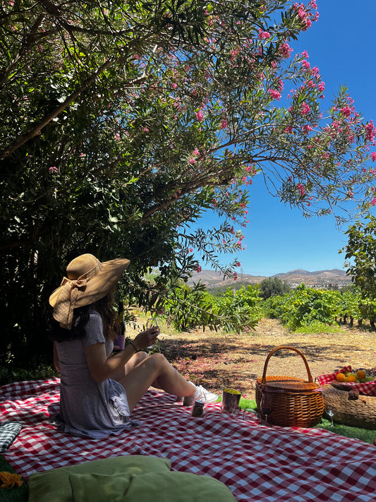 Picnic at the Vineyard