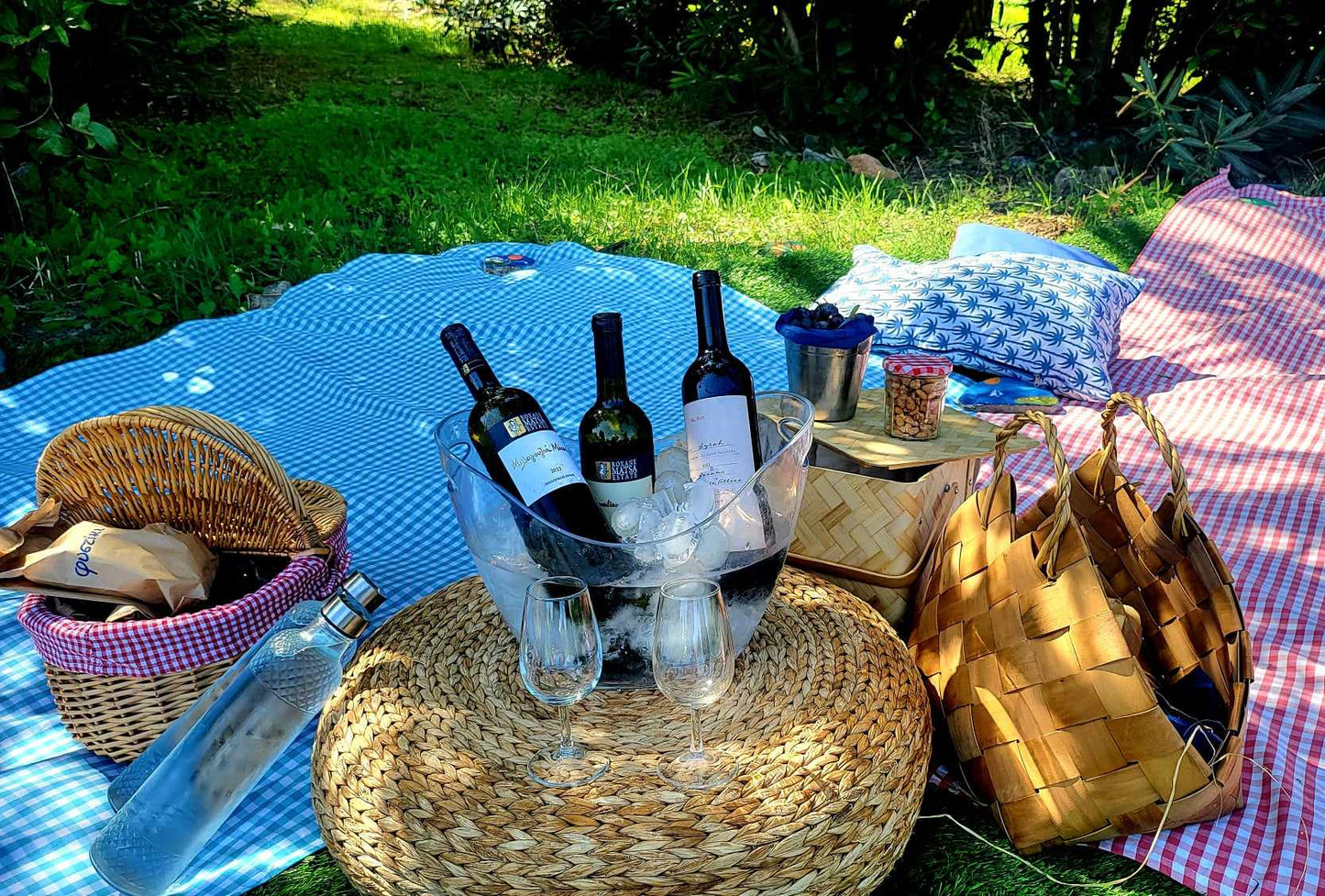 Picnic at the Vineyard