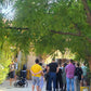 Private Vineyard Tour and Wine Tasting with Greek tradition's culinary surprises