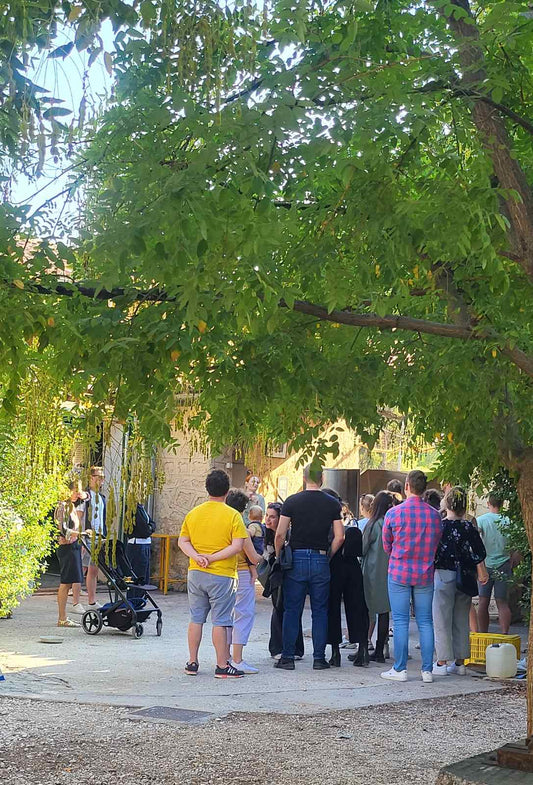 Private Vineyard Tour and Wine Tasting with Greek tradition's culinary surprises