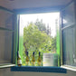 Private Vineyard Tour and Wine Tasting with Greek tradition's culinary surprises