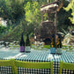 Private Vineyard Tour and Wine Tasting with Greek tradition's culinary surprises