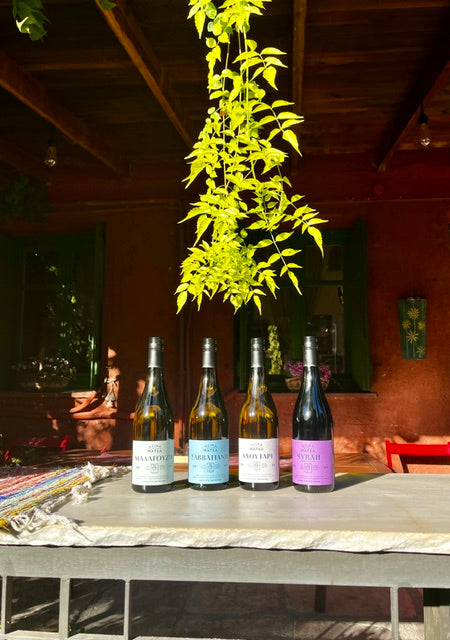 Wine Tasting