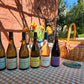 Wine Tasting