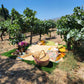 Picnic at the Vineyard