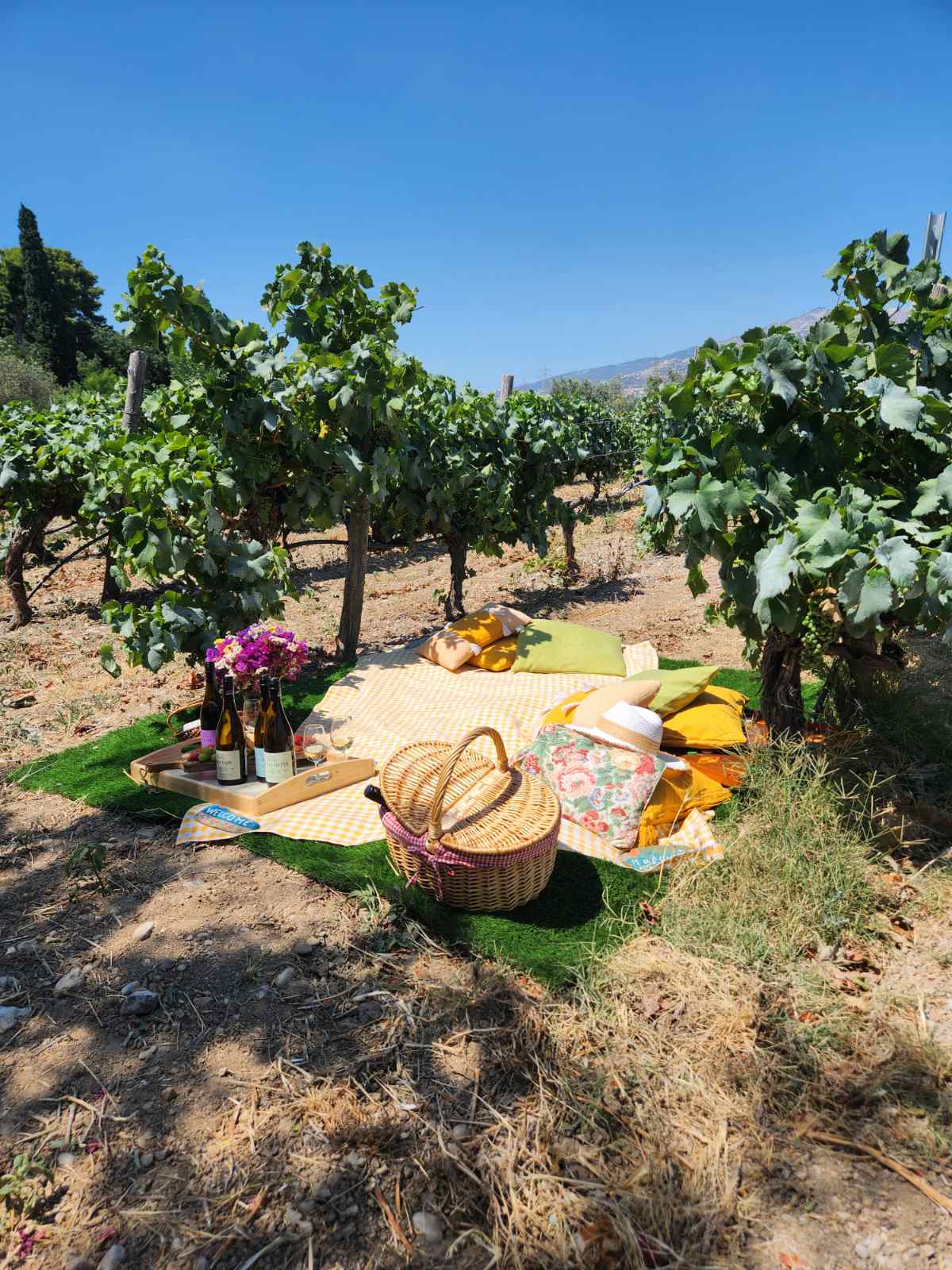 Picnic at the Vineyard