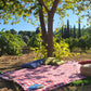 Picnic at the Vineyard