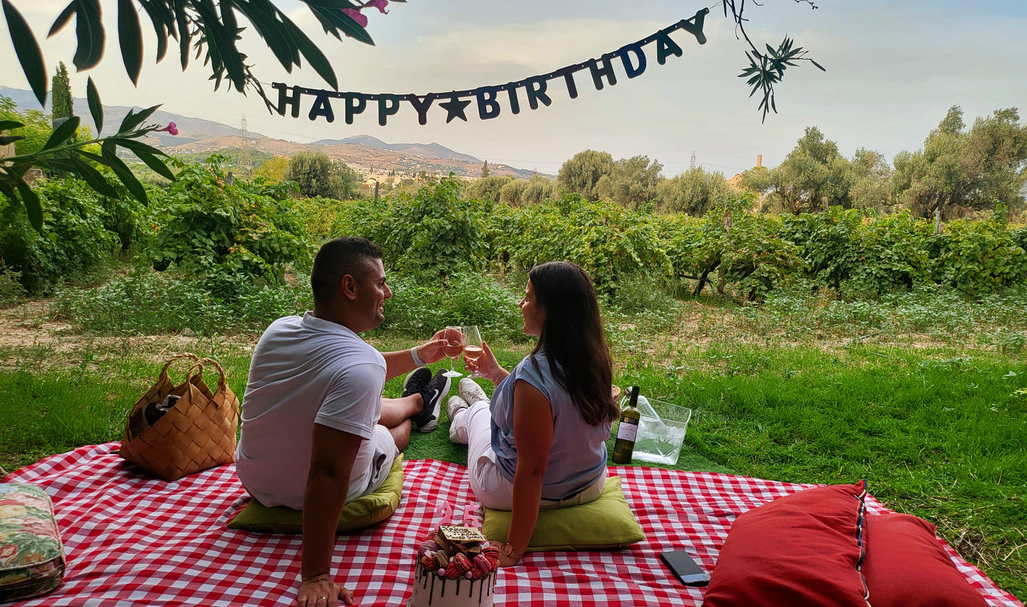 Picnic at the Vineyard