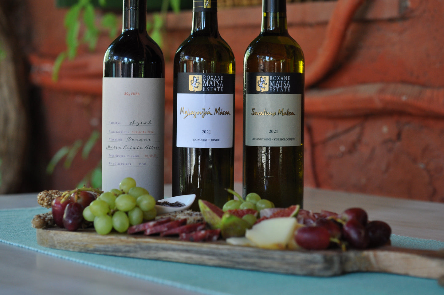 Private Vineyard Tour and Wine Tasting with Greek tradition's culinary surprises