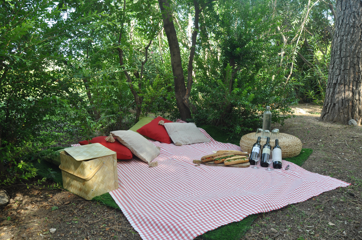 Picnic at the Vineyard